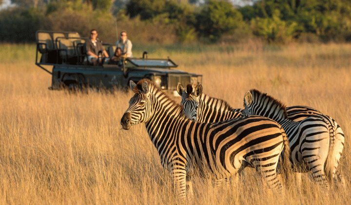 African-Travels-night-game-drive-zebra-safari-1500