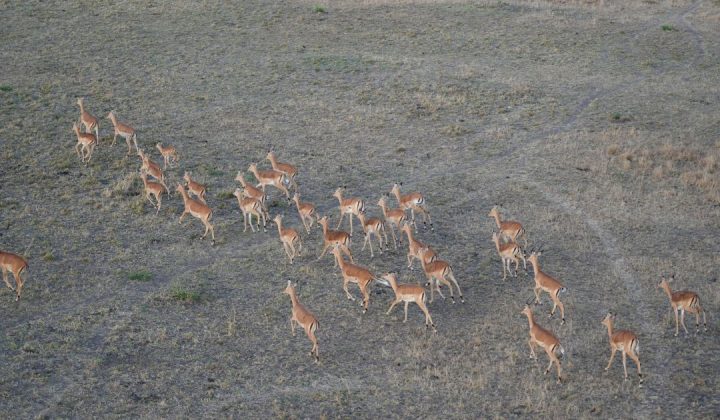 Epic 4-Day Serengeti & Ngorongoro Safari