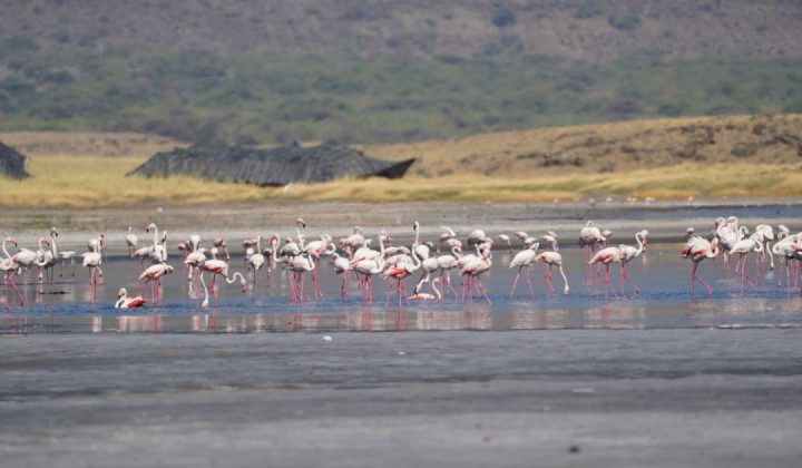 Ngorongoro Crater (2)